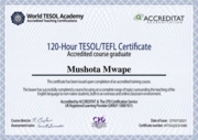 TESOL/TEFL certificate