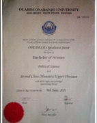 University Certificate