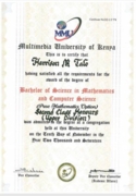 Undergraduate Degree Certificate