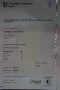 CAE (Certificate in Advanced English)