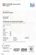 CERTIFICATE CAE