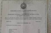 O'level Certificate including English language