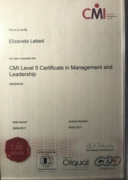 CMI Level 5 Certificate in Management and Leadership