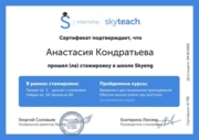 Стажировка и курс "Effective lessons online" ("эффективные уроки онлайн"), Skyeng