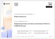 Курс «Информационные системы в экономике»