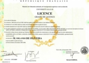 Свидетельство. LICENCE