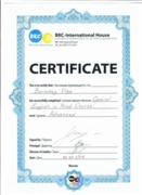 Certificate (Advanced level)