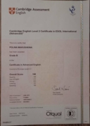 Cambridge Advanced Exam (CAE) diploma