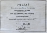 Undergraduate diploma