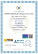 Сертификат TEFL/TESOL