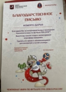 Волонтёр FIFA WORLD CUP 2018 благодарность