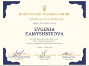 Teaching Online Course