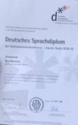 Deutsches Sprachdiplom (DSD)