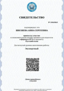 Свидетельство о достижении экспертного уровня при выполнении ЕГЭ по русскому языку