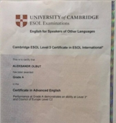 Certificate in Advanced English