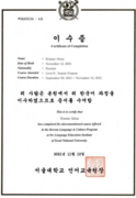 Сертификат. Korean Language Institute SNU