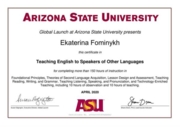 Сертификат TESOL  (Teaching English for Speakers of Other Languages)