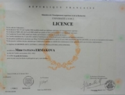 Licence