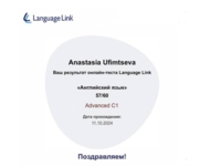 Тест Language Link