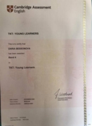 Сертификат tkt young learners