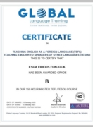 TEFL/ TESOL для английского языка