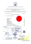 Ordinary Level Certificate