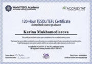 Сертификат TESOL/TEFL