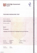 Сертификат. Teacher's Knoledge Test Certificate