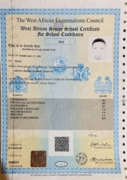 Certificate English High School