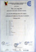 GCE ORDINARY LEVEL CERTIFICATE