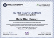 TESOL/TEFL Certificate (English teaching)